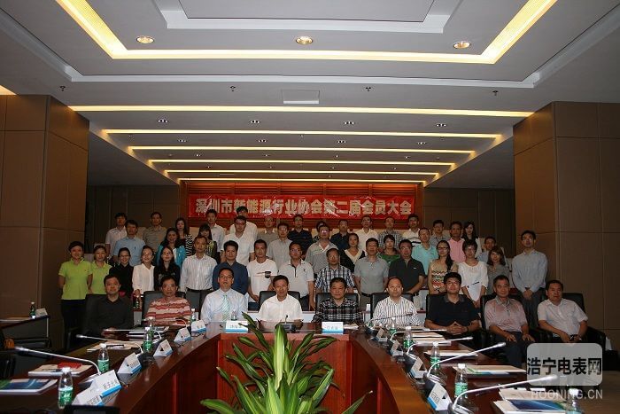 饒陸華董事長當選“深圳市新能源行業協會”會長