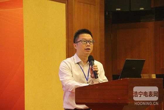 林洋參加第二屆新能源與儲能產業峰會