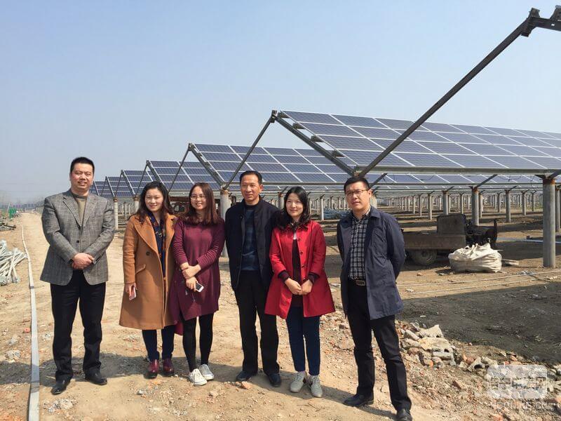 虞副總裁一行于阜陽伍明鎮20MW農光互補電站留影