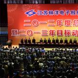 奮斗2013年，為開啟林洋事業新的征程而努力奮斗