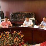 安慶市市長魏曉明等領導蒞臨林洋指導