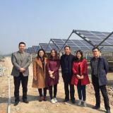 林洋集團副總裁虞海娟攜金融機構赴安徽調研 加大公司分布式光伏電站建設步伐